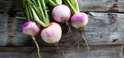 Turnips