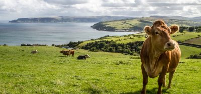 ireland farm