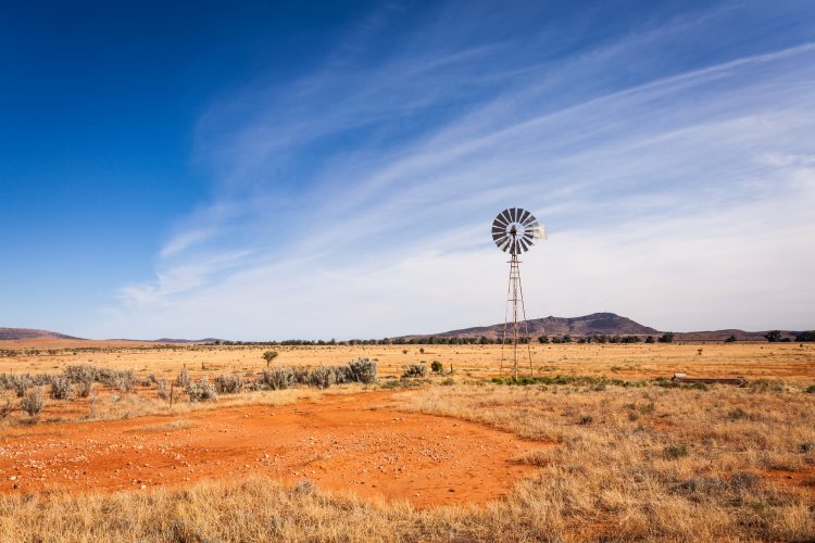 australian farm