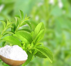 stevia