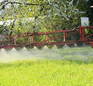 Glyphosate