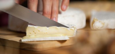 soft cheese