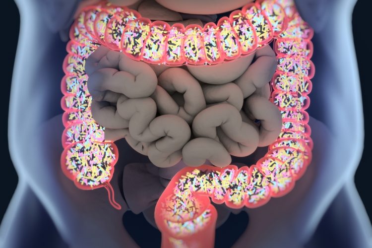 gut-bacteria