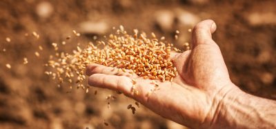 throwing seeds