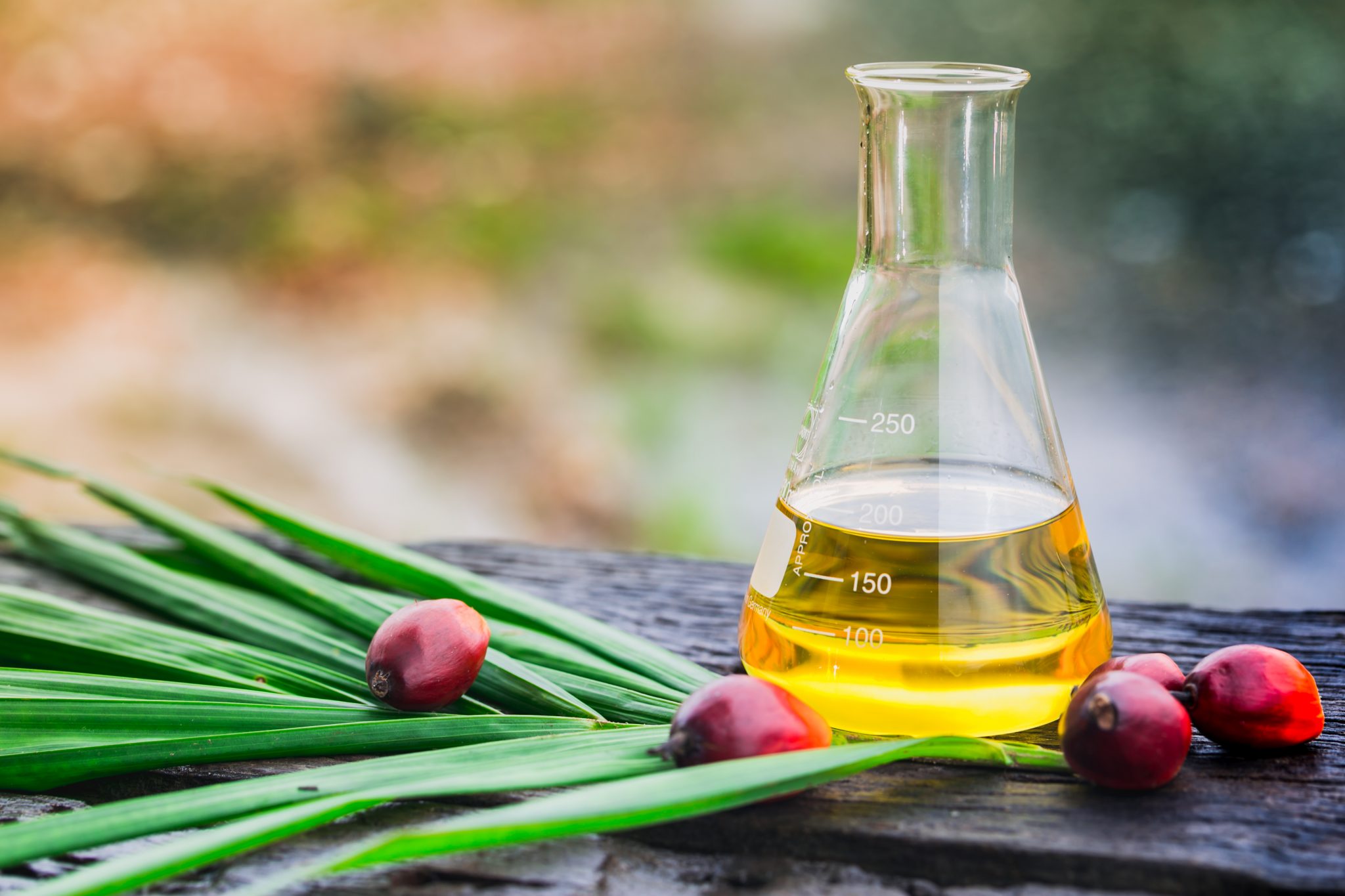 Palm oil an edible oil case study in quality, safety and process