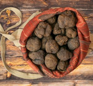 truffle
