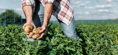 McCain launches regenerative ‘UK Farm of the Future’ in Yorkshire