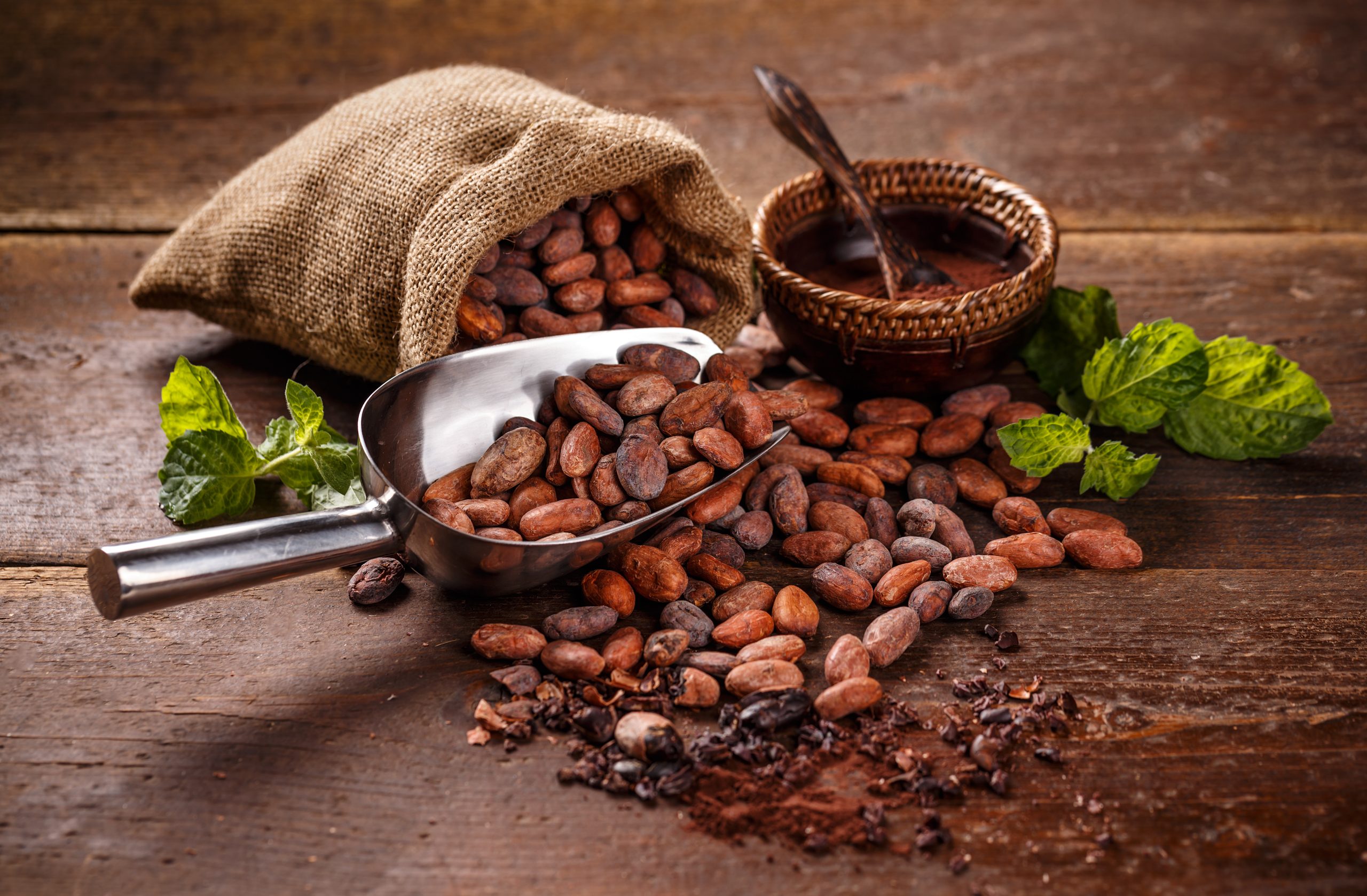 cocoa beans