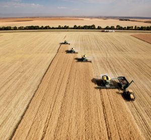 industrial farming