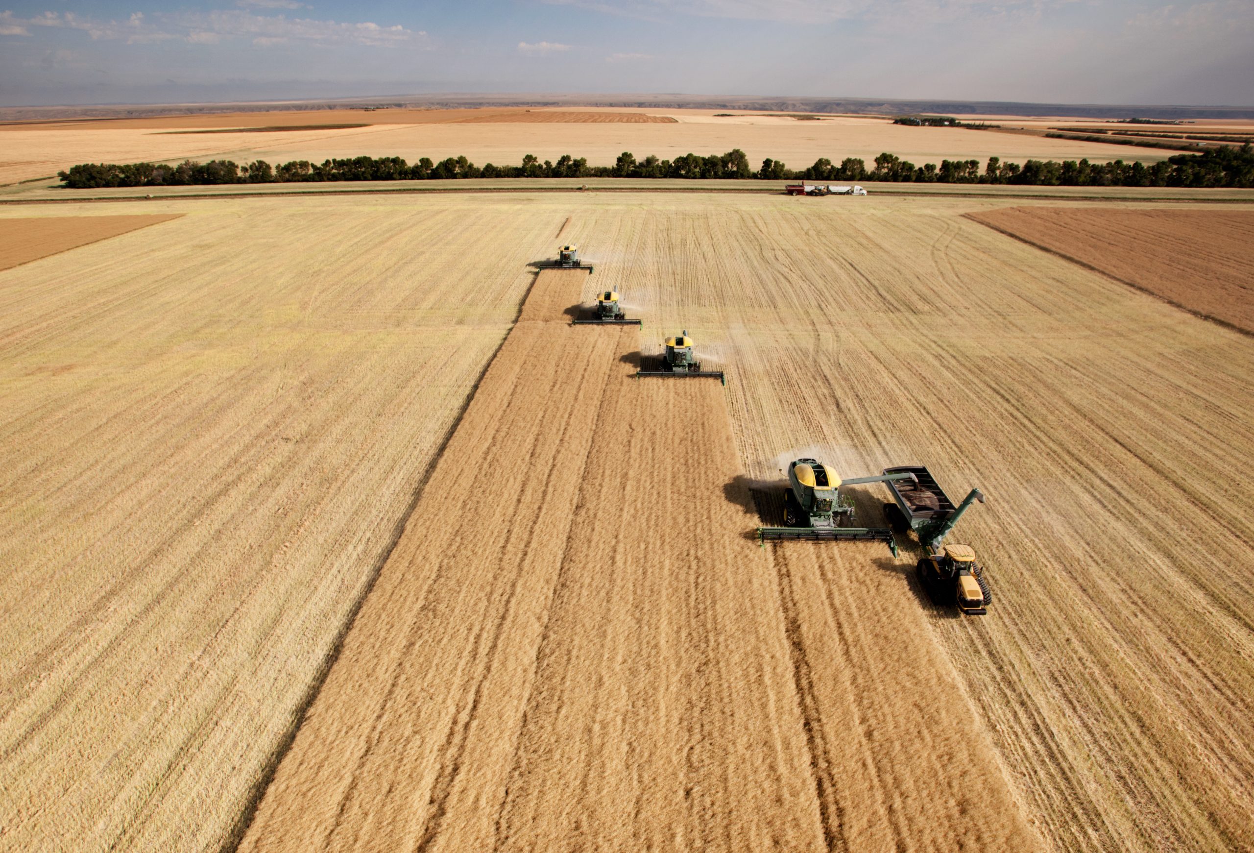 industrial farming