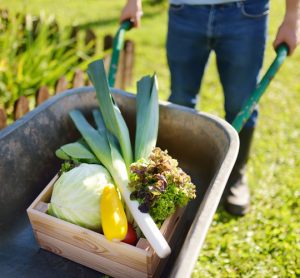 Small farm future