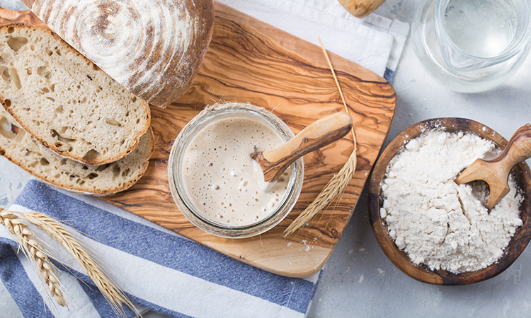 sourdough starters take 24 hours to ferment 