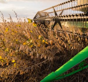 Scientist optimise soybean seeding rates in recent study