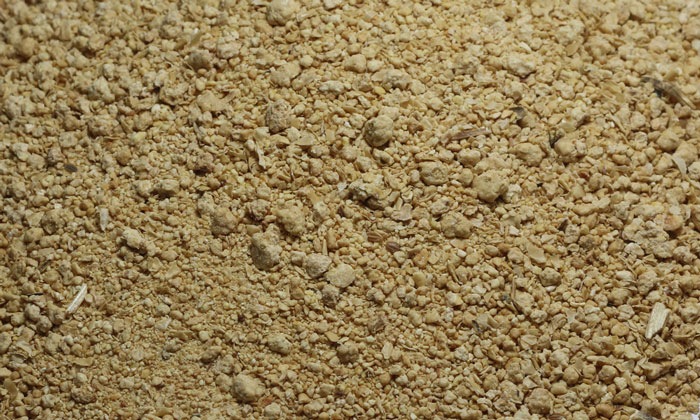 soybean-meal