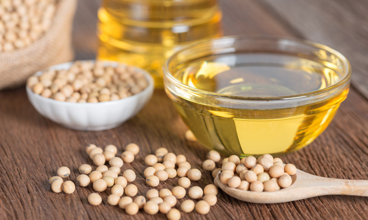 Soybean oil causes genetic changes in the brain, according to research