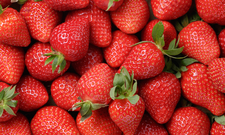 strawberry food waste