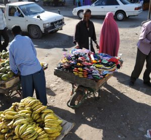 Study investigates sub-Saharan households' access to food