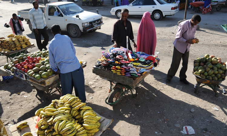 Study investigates sub-Saharan households' access to food