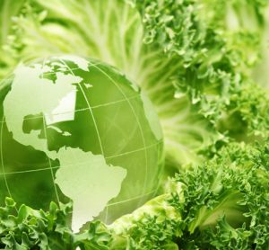 Foundation establishes "world's largest" $1 million sustainable food prizes