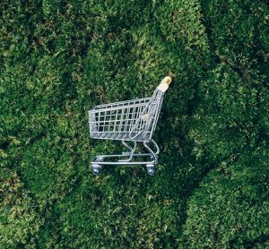 research says consumers are more eco concious when shopping