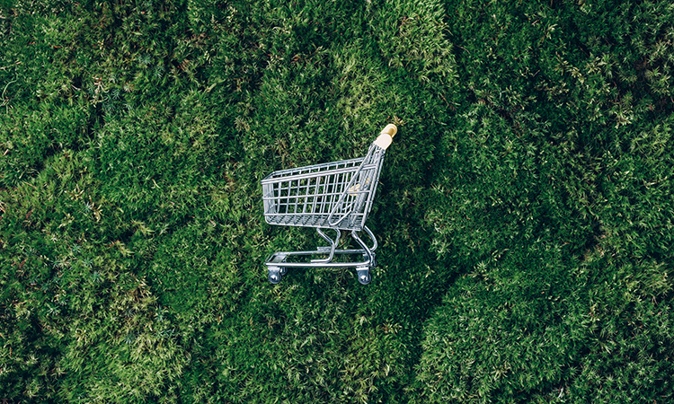 research says consumers are more eco concious when shopping
