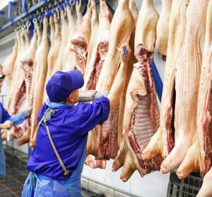 Consumer lawsuit challenges USDA’s New Swine Inspection System