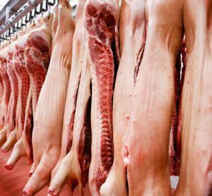 USDA updates Swine Slaughter Inspection