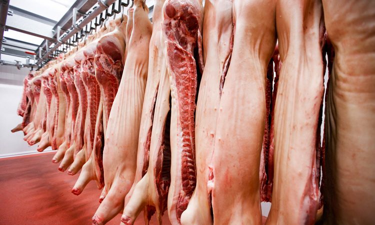 USDA updates Swine Slaughter Inspection