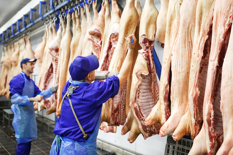 Consumer lawsuit challenges USDA’s New Swine Inspection System