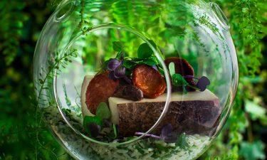 Tribal roots - Feijoada in yucca with rice