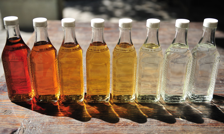 The transformation of tequila - New Food Magazine