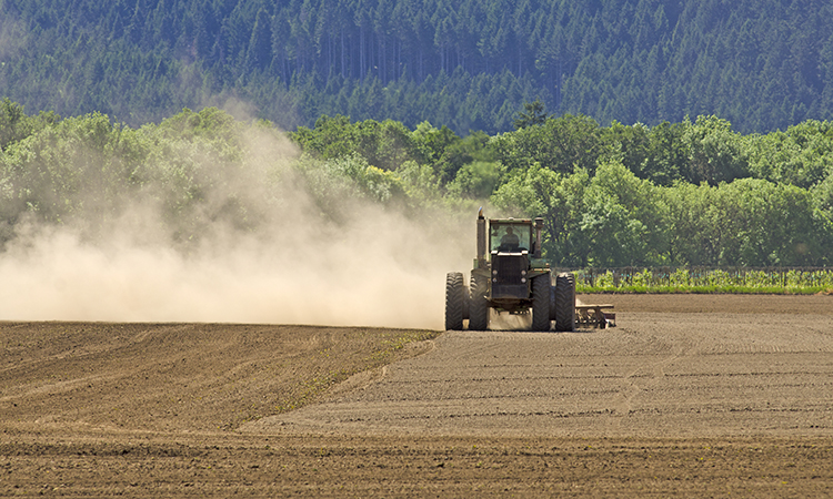 dust from tilling