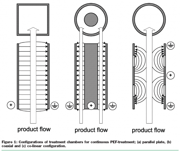 toepfl figure 1