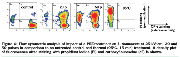 toepfl figure 6