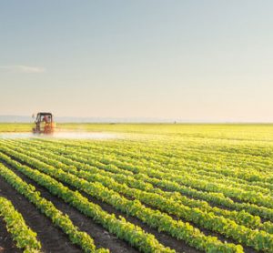 tractor spraying crops in field