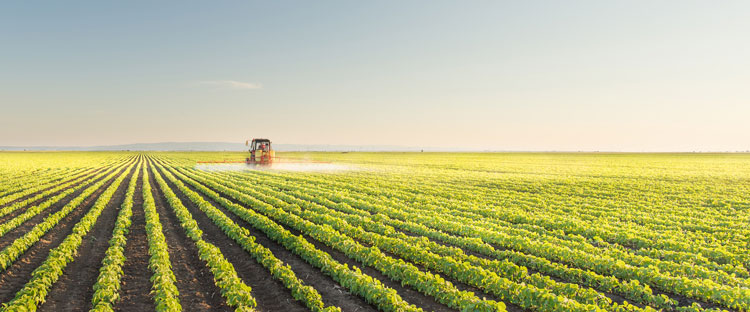 tractor spraying crops in field