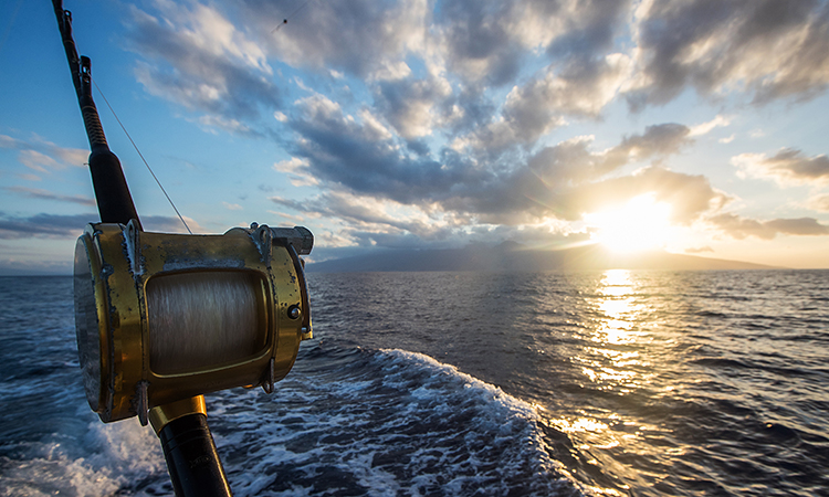 tuna fishing sustainability