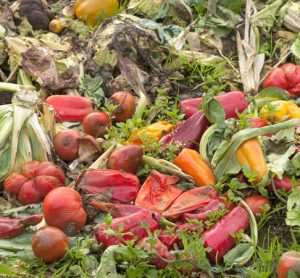 Investors at risk as food retailers fail to disclose food waste emissions, says report