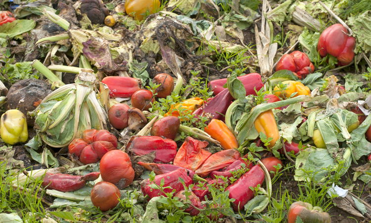 Investors at risk as food retailers fail to disclose food waste emissions, says report