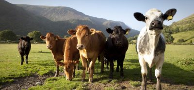 What does Welsh agriculture look like post-Brexit?