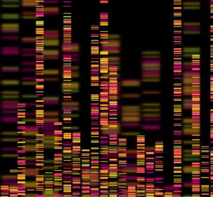 Whole genome sequencing