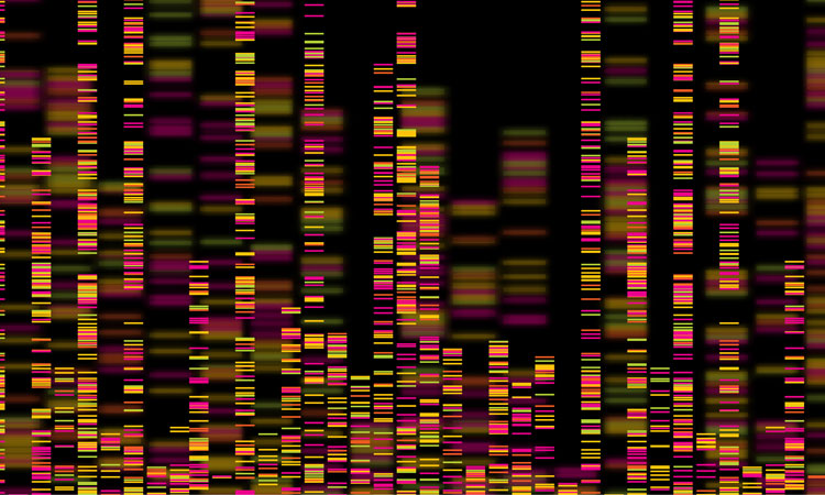 Whole genome sequencing