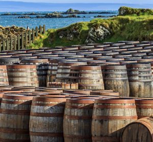 Scotch whisky barrels