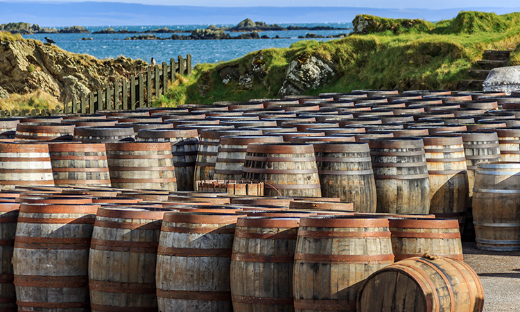 Scotch whisky barrels